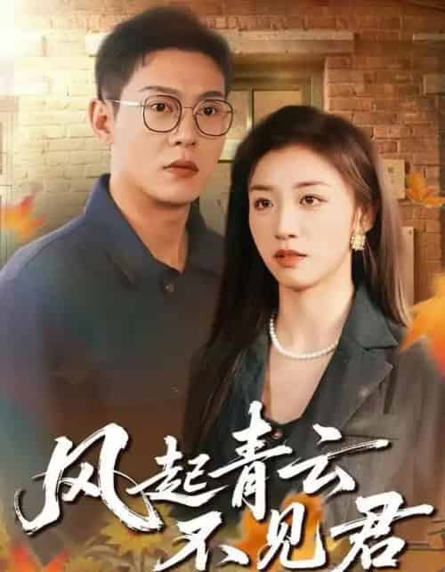 风起青云不见君（60集全）钱谦＆朱钰-搜外项目网