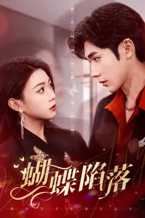 蝴蝶陷落（60集全）李铂一＆周玉玲-搜外项目网