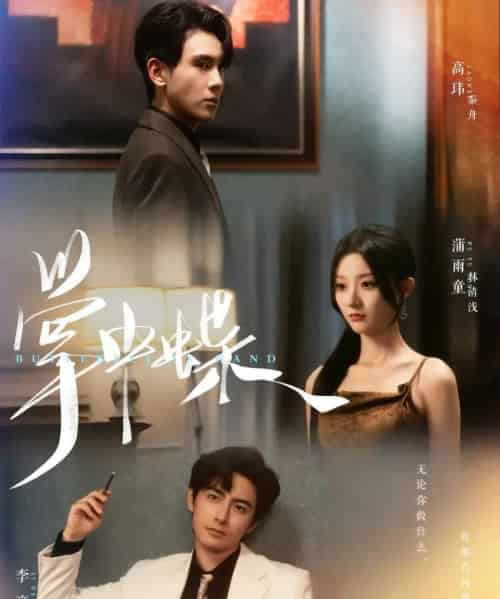 掌中蝶（84集）李豪＆蒲雨童-搜外项目网