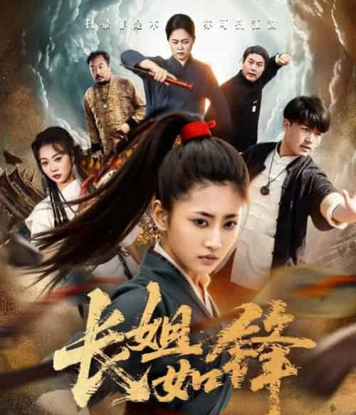 长姐如锋（50集全）汪巧＆白龙-搜外项目网