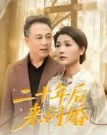 二十年后来闪婚（60集全）赵晶-搜外项目网