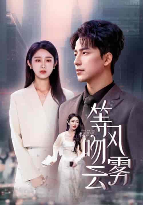 等风吻云雾（68集全）陈凡＆南湘-搜外项目网