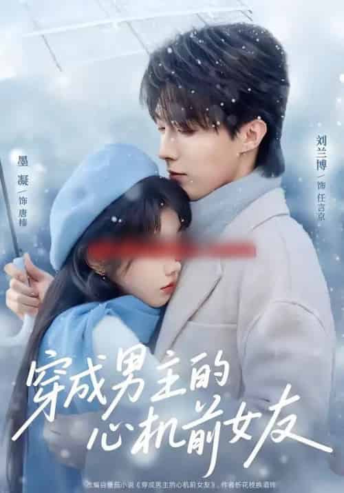 穿成男主的心机前女友(63集全)刘兰博&墨凝-搜外项目网