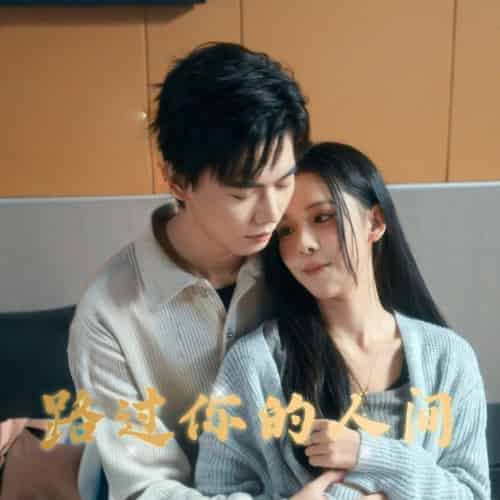 路过你的人间（31集全）苏弋涵-搜外项目网
