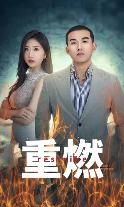 重燃(80集)-搜外项目网