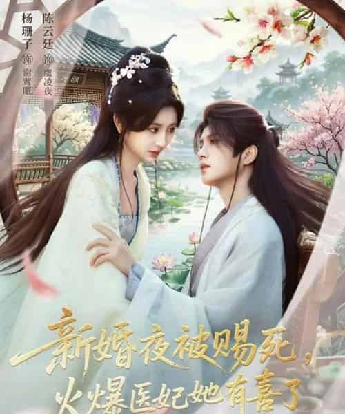 新婚夜被赐死，火爆医妃她有喜了（61集全）陈云廷＆杨珊子-搜外项目网