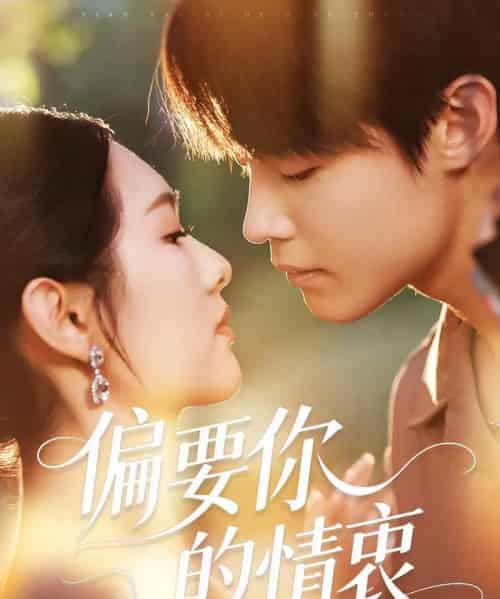 偏要你的情衷(62集)朱哲人&李媛菁-搜外项目网