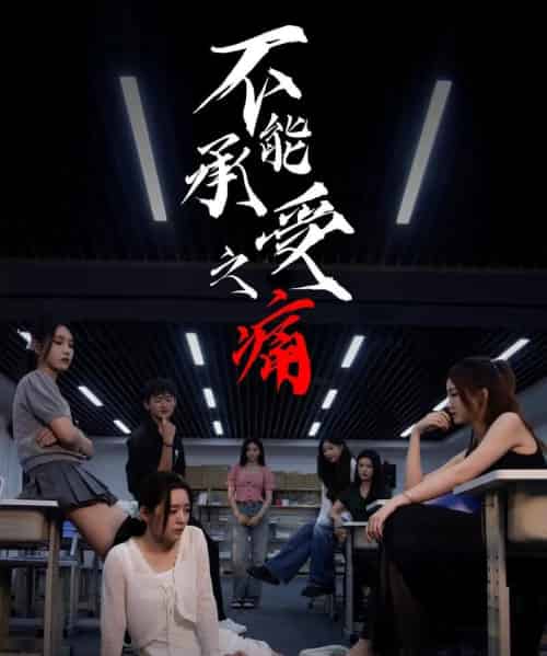 不能承受之痛（80集全）龙玥霖＆李佳颖-搜外项目网