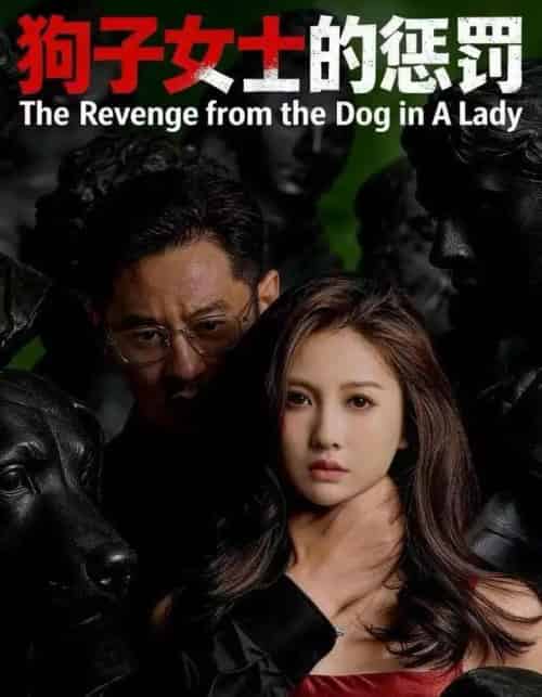 狗子女士的惩罚（60集全）江离＆江炘-搜外项目网
