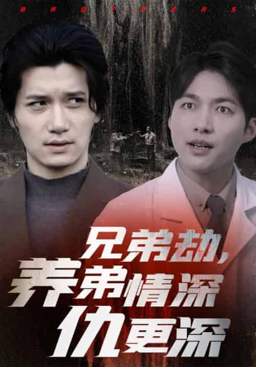 兄弟劫，养弟情深仇更深（35集全）萧凡＆萧云-搜外项目网