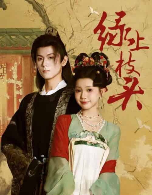 绿上枝头（73集全）何善凯＆李丫丫-搜外项目网