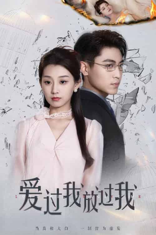 爱过我放过我(51集全)王倩&刘雨昊-搜外项目网