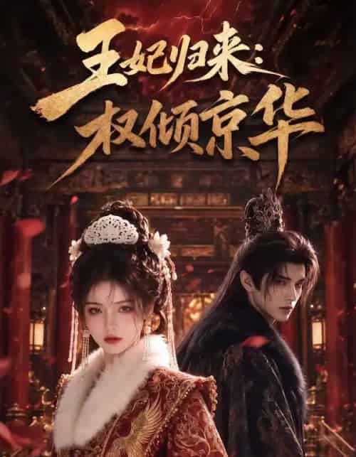 王妃归来权倾京华（61集全）-搜外项目网