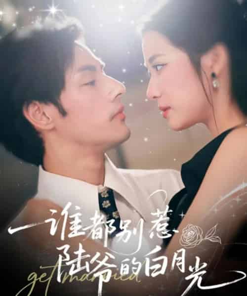 谁都别惹陆爷的白月光（79集全）潘子剑＆段柒萱-搜外项目网