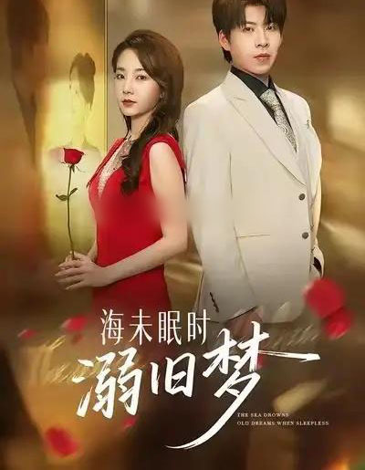 海未眠时溺旧梦（80集全）孟嘉鑫＆王为洋-搜外项目网
