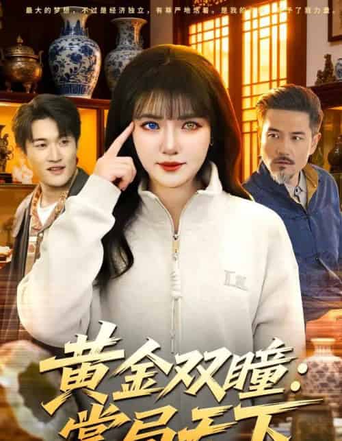 黄金双瞳：掌局天下（120集全）李雪丹＆邱翔-搜外项目网