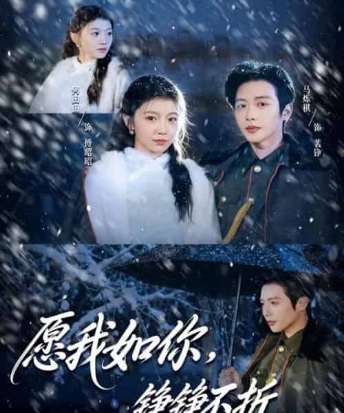 愿我如你,铮铮不折(63集全)马烁棋&何田田-搜外项目网