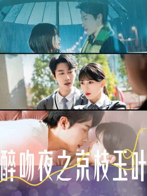 醉吻夜之京枝玉叶(90集全)张韫韬&杨洁-搜外项目网