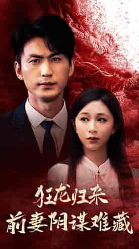 狂龙归来前妻阴谋难藏（42集）刘开心-搜外项目网