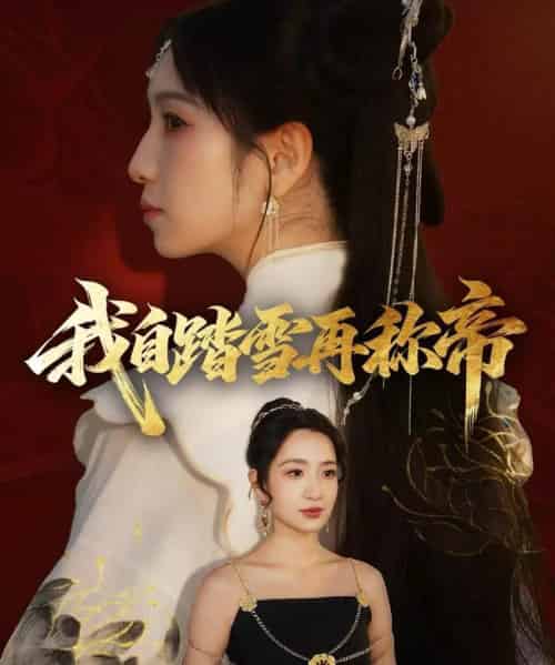 我自踏雪再称帝（80集全）瞿宇＆陈霖昱-搜外项目网