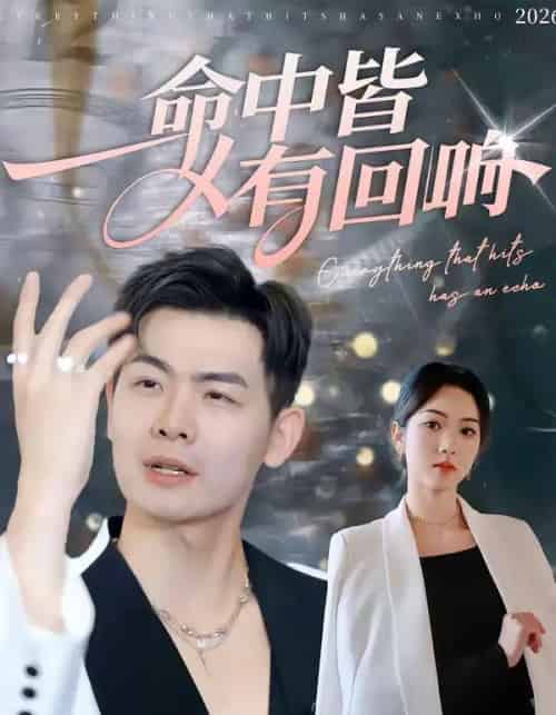 命中皆有回响（62集全）薄艾莹＆周霖-搜外项目网