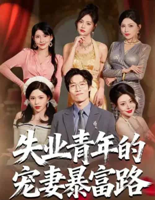 失业青年的宠妻暴富路(60集全)唐紫怡&艺神-搜外项目网