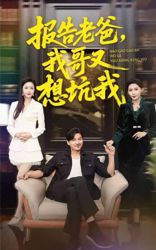 报告老爸，我哥又想坑我（120集全）王辉＆黄斯琪-搜外项目网