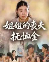 姐姐的丧夫抚恤金（40集）-搜外项目网