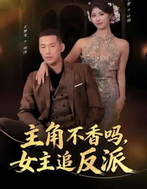 主角不香吗，女主追反派（80集全）王慧龙＆黄宁馨-搜外项目网