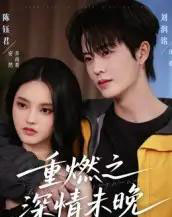 重燃之深情未晚（70集全）刘润铭＆陈钰君-搜外项目网