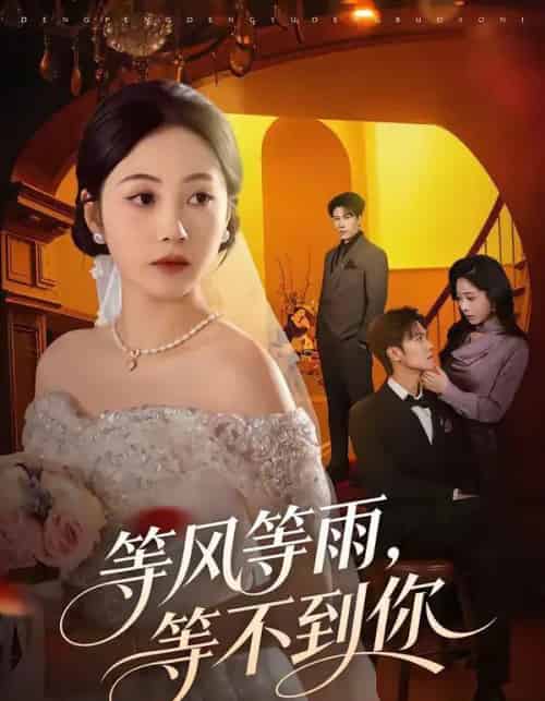 等风等雨，等不到你（65集全）陈京霖＆曾和惠子-搜外项目网