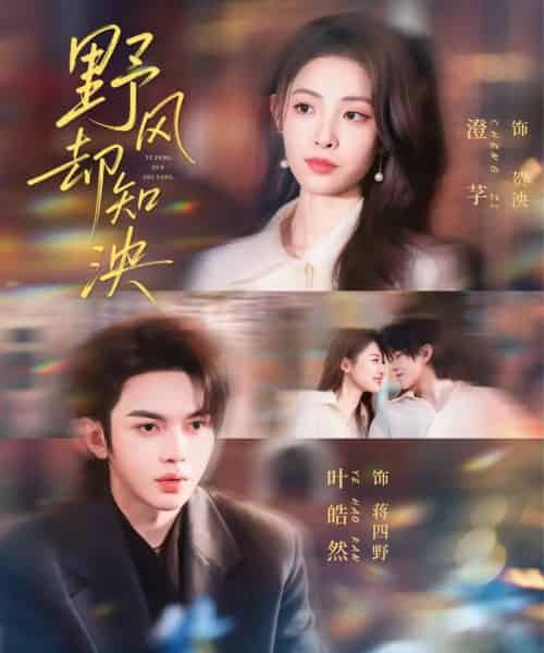野风却知泱（80集全）叶皓然＆澄芓-搜外项目网