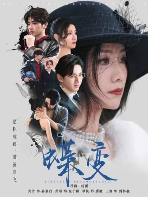 蝶变（70集全）卓杭＆龚雪-搜外项目网