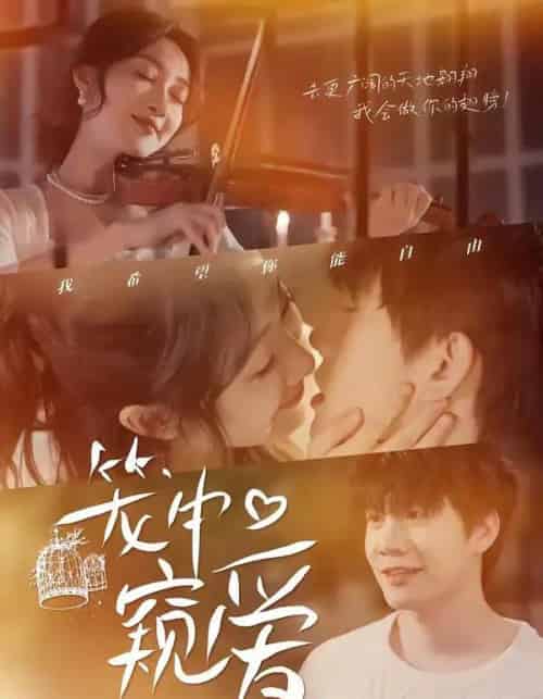 笼中窥爱(68集全)陈敬德&海依凡-搜外项目网