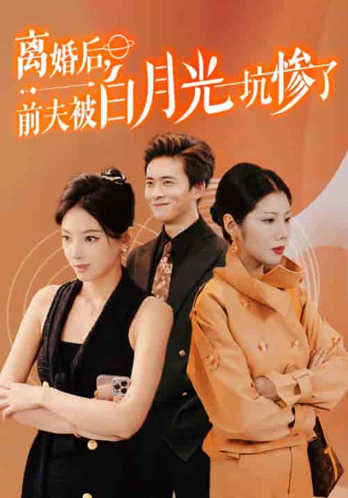 离婚后，前夫被白月光坑惨了（60集全）宋子凡＆云萱-搜外项目网