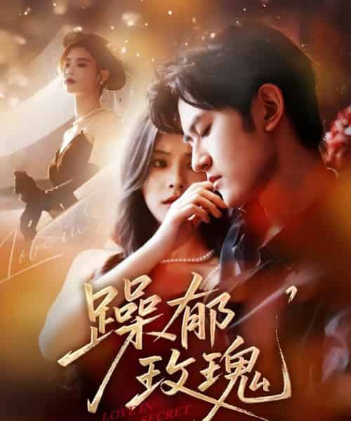 躁郁玫瑰 (71集)朱彦恺&杨静怡-搜外项目网