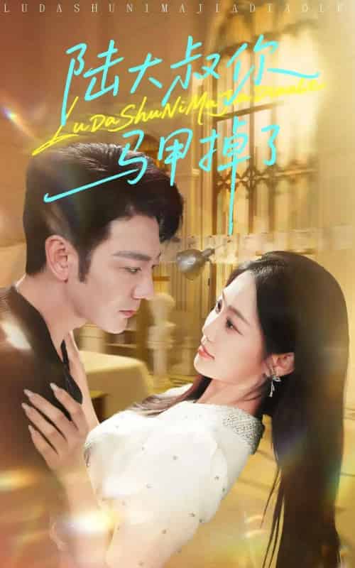 陆大叔你马甲掉了（100集）尹玲（尹喜善）-搜外项目网