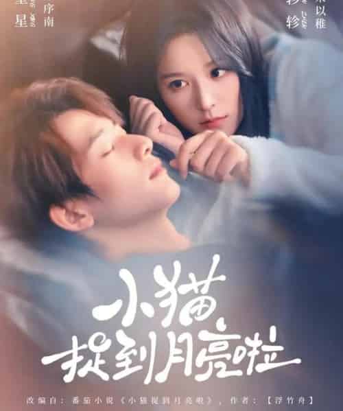 小猫捉到月亮啦（80集全）甘望星＆徐轸轸-搜外项目网