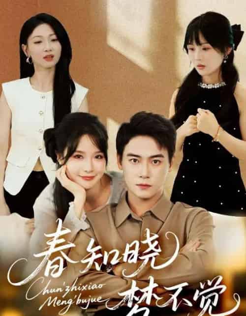 春知晓梦不觉（70集）曾乙同＆张紫淋-搜外项目网