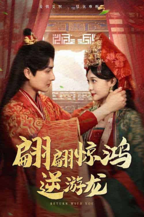 翩翩惊鸿逆游龙(60集)汤泽鸿&林玲-搜外项目网