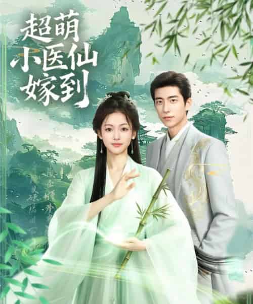 超萌小医仙嫁到(63集全)李泽豪&羽翎-搜外项目网