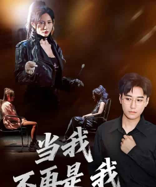 当我不再是我（70集全）韩子浩＆维尼-搜外项目网