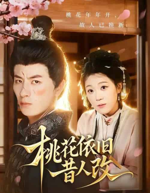 桃花依旧昔人改（72集全）安敏＆刘定琛-搜外项目网