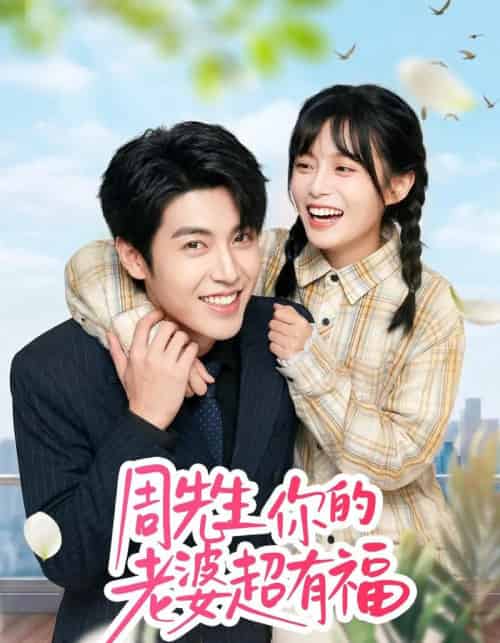 周先生，你的老婆超有福（50集全）崔晓＆张庭华-搜外项目网
