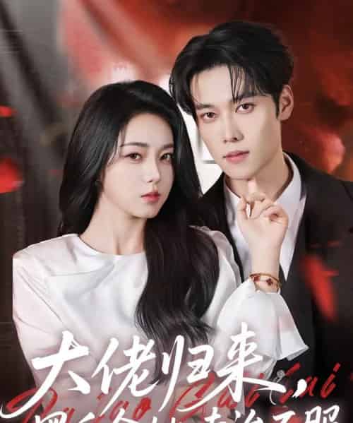 大佬归来,黑千金她专治不服(71集全)李冰冰&盛一辰-搜外项目网