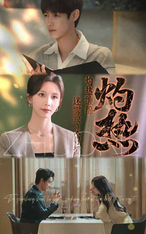 灼热（63集全）贺宇＆丁晓-搜外项目网