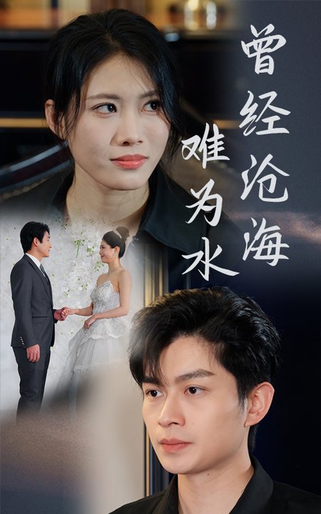 曾经沧海难为水（30集全）王漫漫-搜外项目网