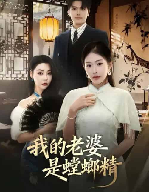 我的老婆是螳螂精（53集全）杜依依＆林嘉翊＆乔婉宁-搜外项目网