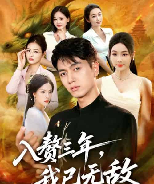 入赘三年,我已无敌(60集全)鲜嘉臣&刘诗雅&尹喜善-搜外项目网