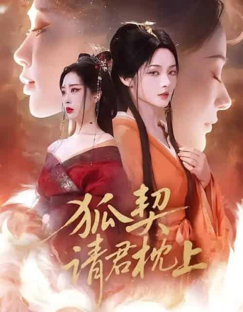 狐契：请君枕上（81集全）毛祁生＆觅七-搜外项目网